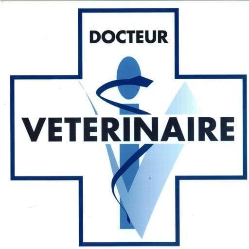 croix vétérinaire cinique vetobain a bain de bretagne